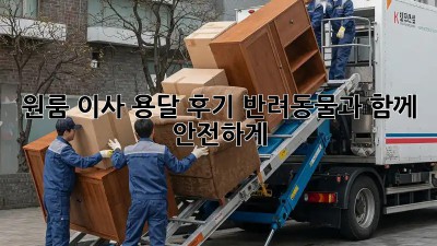 원룸 이사 용달 후기: 반려동물과 함께 안전하게!