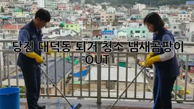 당진 대덕동 퇴거 청소🧹 냄새/곰팡이 OUT!