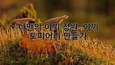 나만의 이끼 정원 🏡 이끼 토피어리 만들기 🌱