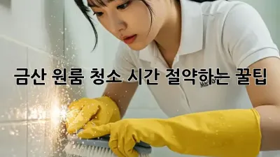 금산 원룸 청소, 시간 절약하는 꿀팁!
